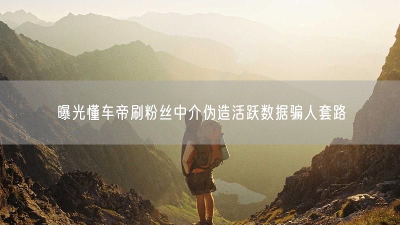 曝光懂车帝刷粉丝中介伪造活跃数据骗人套路
