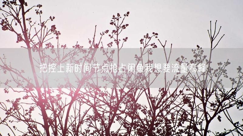 把控上新时间节点抢占闲鱼我想要流量高峰