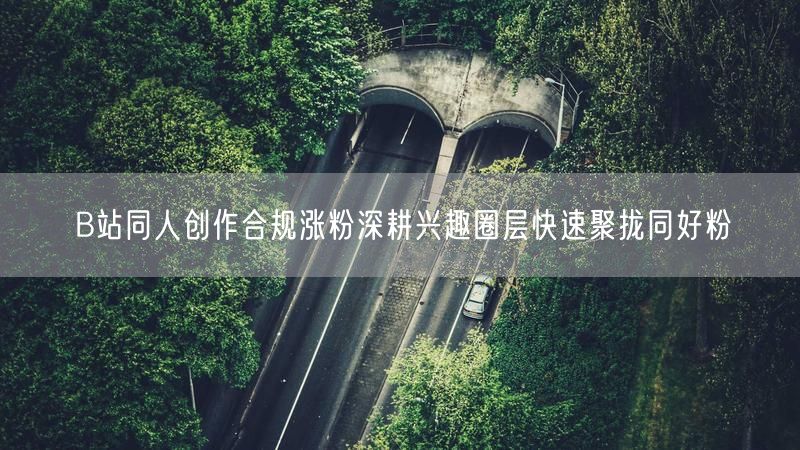 B站同人创作合规涨粉深耕兴趣圈层快速聚拢同好粉