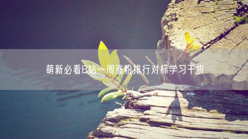 萌新必看B站一周涨粉排行对标学习干货