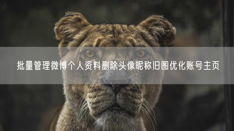 批量管理微博个人资料删除头像昵称旧图优化账号主页