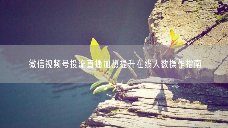 微信视频号投流直播加热提升在线人数操作指南