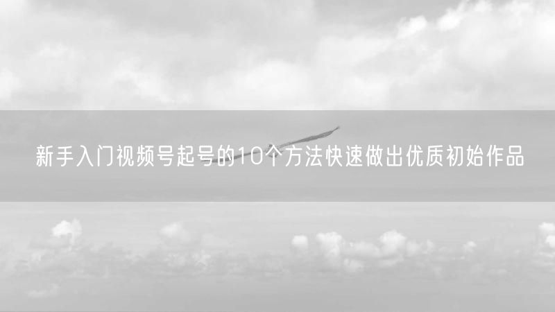 新手入门视频号起号的10个方法快速做出优质初始作品