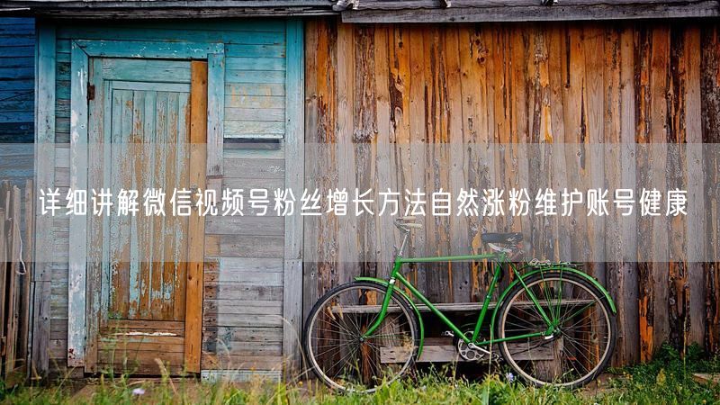 详细讲解微信视频号粉丝增长方法自然涨粉维护账号健康