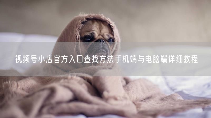 视频号小店官方入口查找方法手机端与电脑端详细教程
