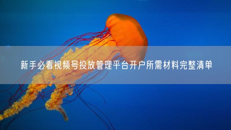 新手必看视频号投放管理平台开户所需材料完整清单