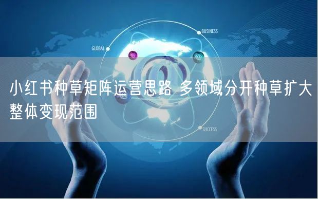 小红书种草矩阵运营思路 多领域分开种草扩大整体变现范围