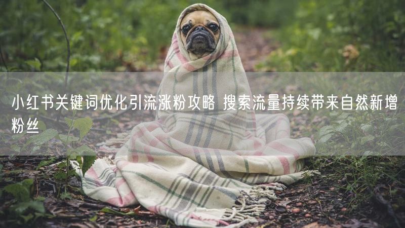 小红书关键词优化引流涨粉攻略 搜索流量持续带来自然新增粉丝
