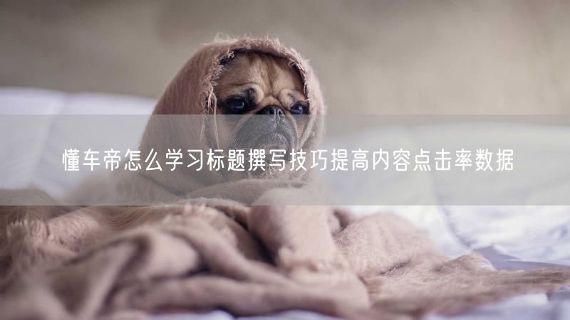 懂车帝怎么学习标题撰写技巧提高内容点击率数据