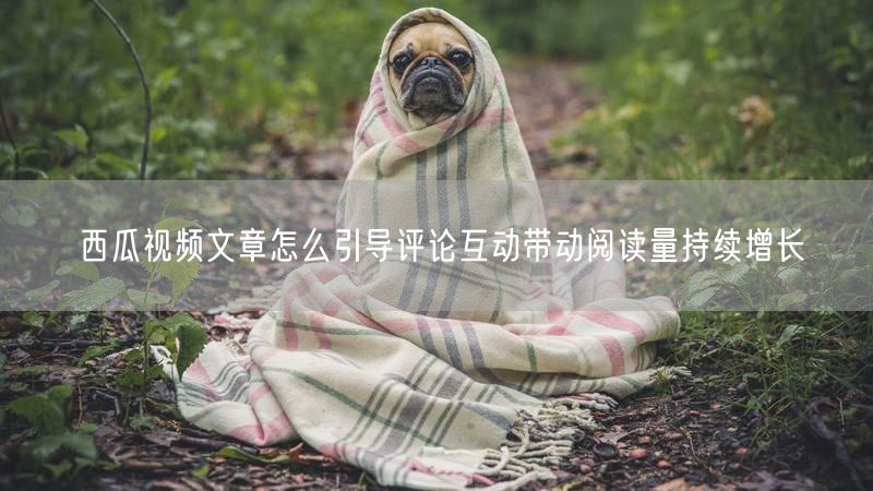 西瓜视频文章怎么引导评论互动带动阅读量持续增长
