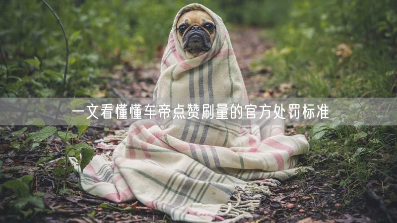 一文看懂懂车帝点赞刷量的官方处罚标准