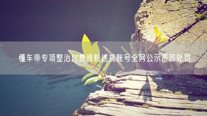 懂车帝专项整治付费涨粉违规账号全网公示严厉处罚