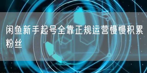 闲鱼新手起号全靠正规运营慢慢积累粉丝