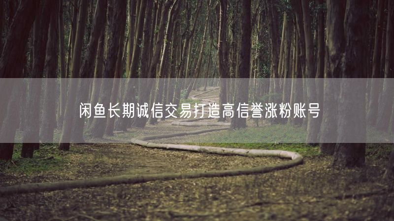 闲鱼长期诚信交易打造高信誉涨粉账号