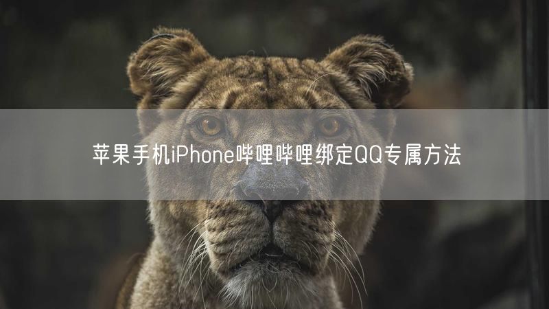 苹果手机iPhone哔哩哔哩绑定QQ专属方法