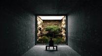 别盲目刷懂车帝点赞数据风控清零还会限制发文