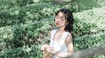 告诫入行新人懂车帝刷粉丝养不出精准汽车粉